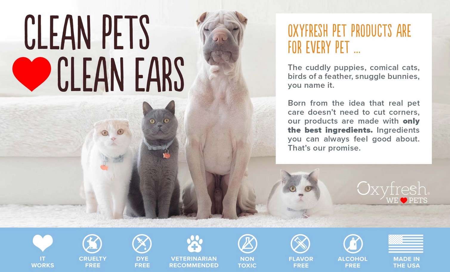 pet-banner